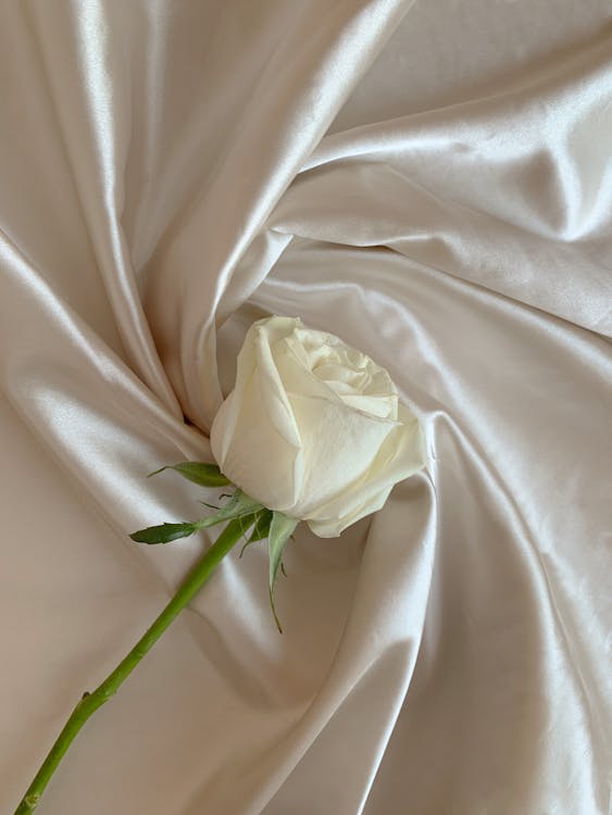 Best Funeral Directors in Gerrards Cross — Vetted & Trusted | NAFD