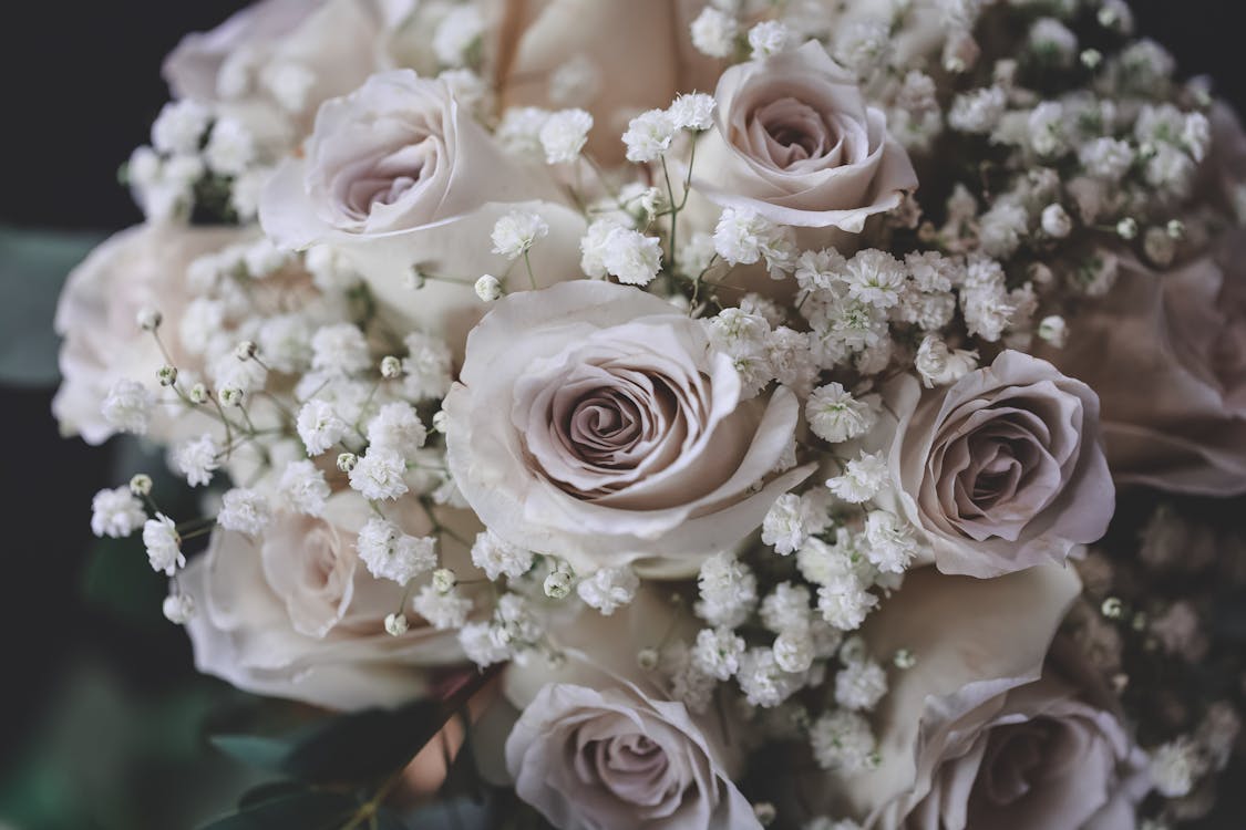 Best Funeral Directors in Worksop — Vetted & Trusted | NAFD