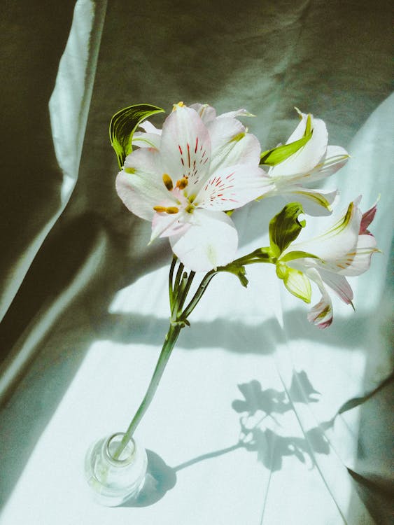 How to Register a Death in the UK: What You Need to Know