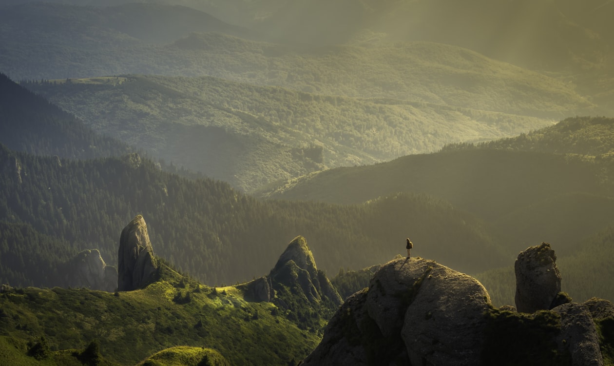 What Happens at a Cremation? Everything You Need to Know