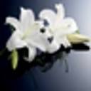 I W Myers Funeral Directors logo