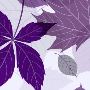 William Purves (Funeral Directors) Ltd