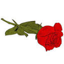 G Collins and Sons Funeral Directors Limited logo