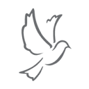 Stoneman Funeral Service logo