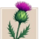 Birrell Corrance Independent Funeral Directors