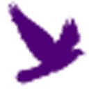 TDM Funeral Services Ltd